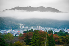 山の中腹は雲海！