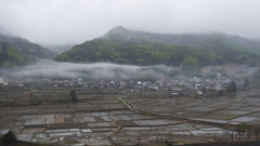 靄の村