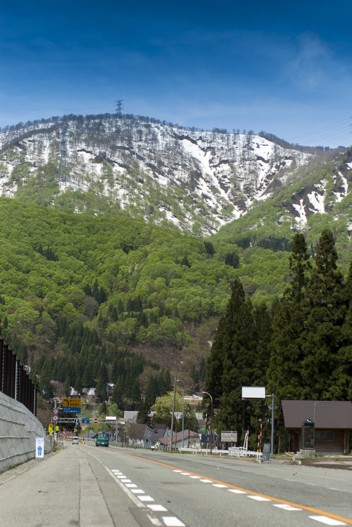 新緑の山