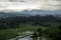 梅雨空の朝