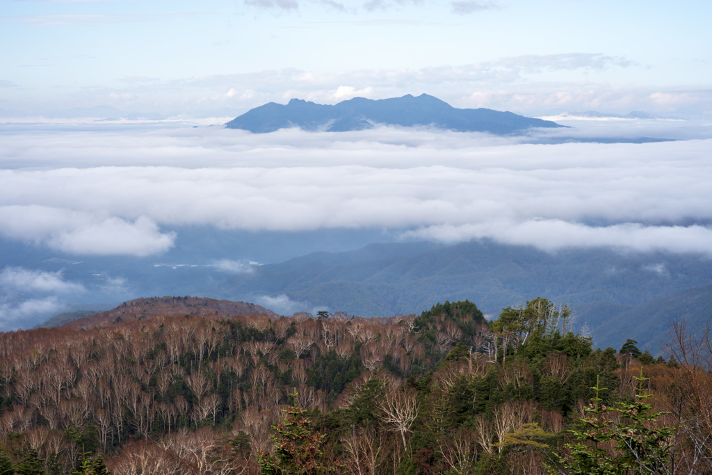 一面に広がる雲海