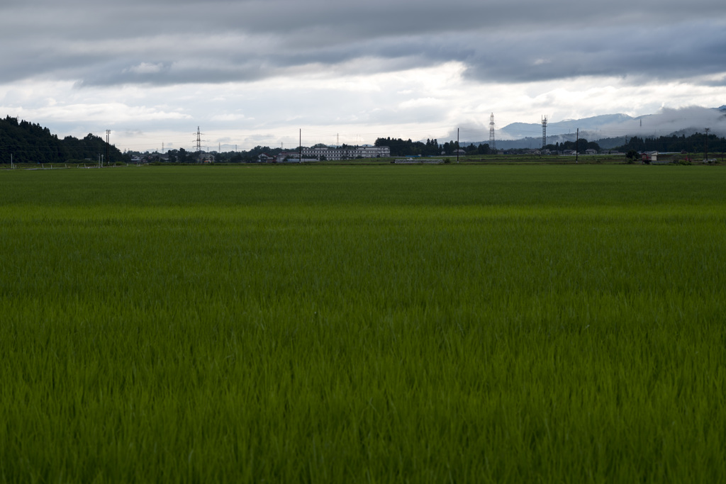 曇りのち雨のち曇り