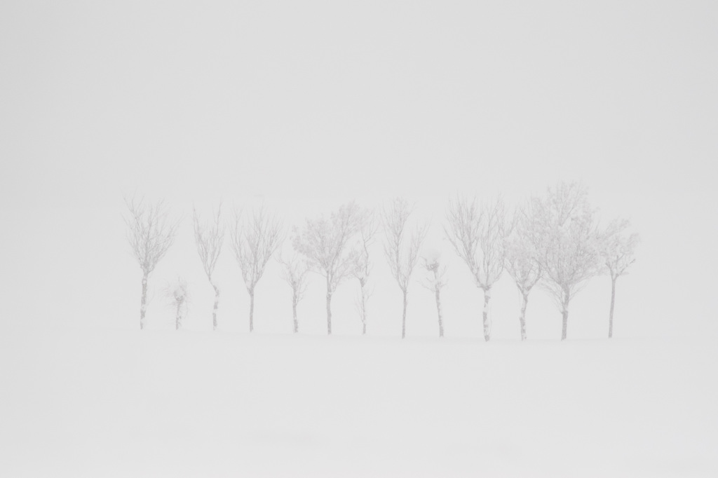 雪降る日