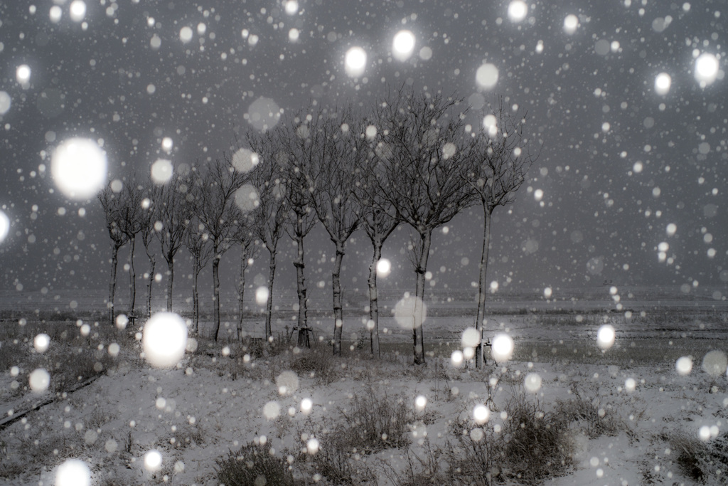 雪は深々と