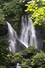白玉の滝　雌滝