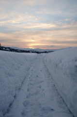 朝焼けへの雪道