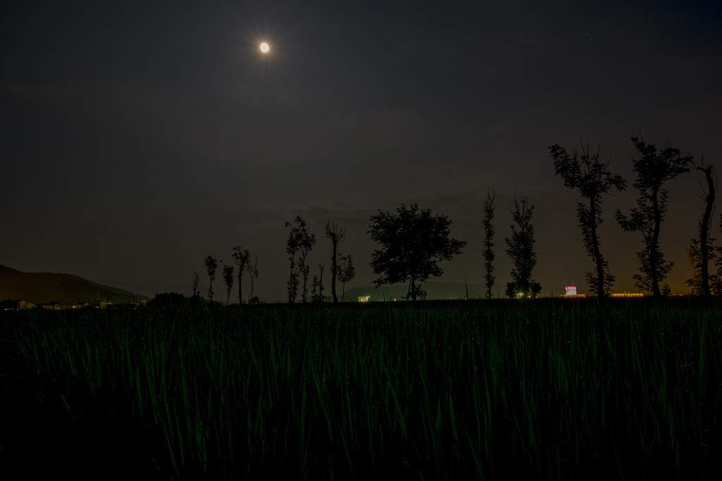月夜の田園