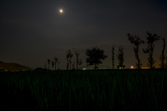 月夜の田園