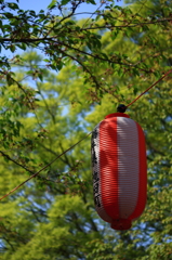 暑日
