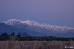 朝の北アルプス