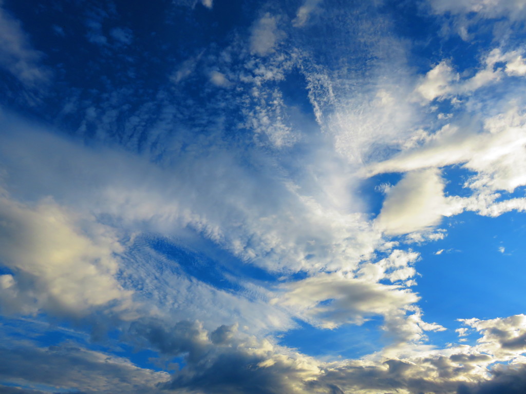 空の下(もと)