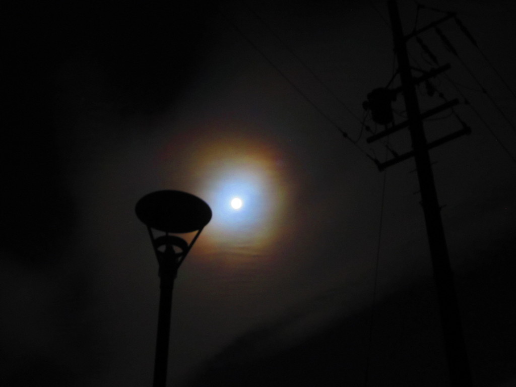 月夜Ⅱ