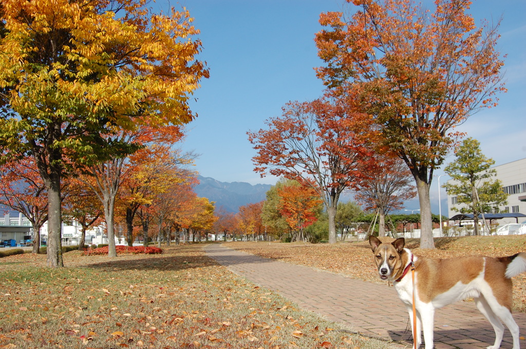 また写真？