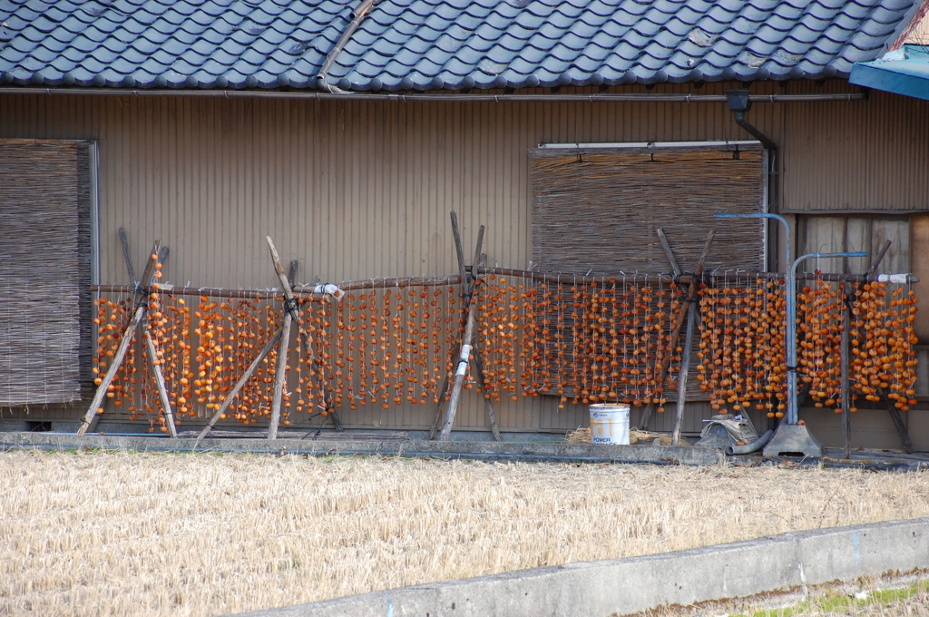 ざ・干し柿