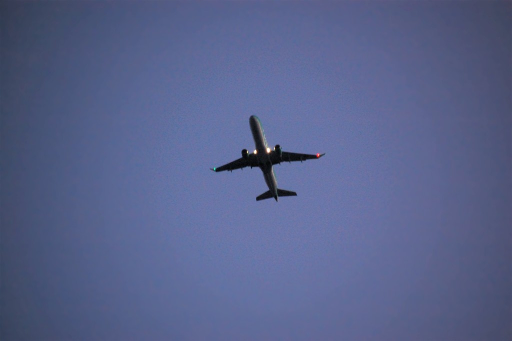 飛行機を撮ってみたよ