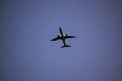飛行機を撮ってみたよ