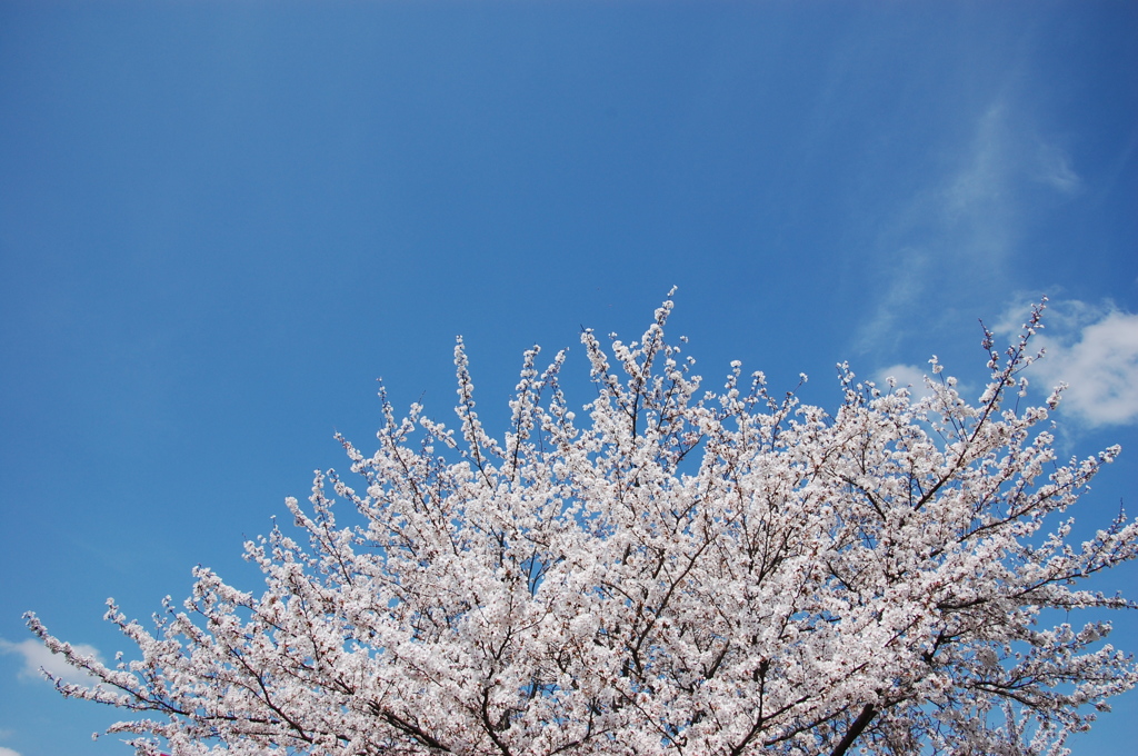 やっと来たー！
