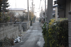 朝の裏道