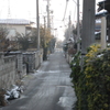 朝の裏道