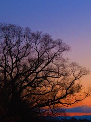 夕暮れの時間