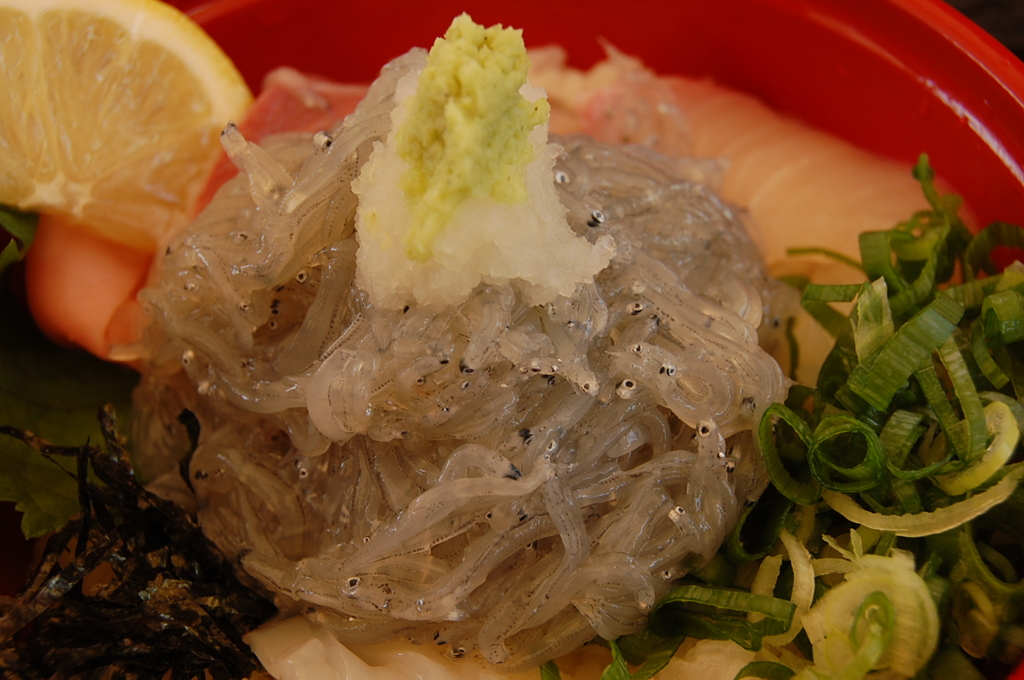 生しらす丼！！