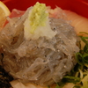 生しらす丼！！