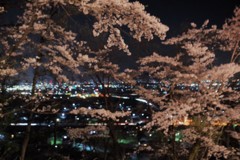 夜桜と夜景　ー手ブレ効果(笑)ー