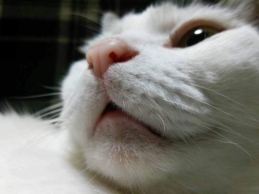ウチのコ♪