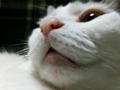 ウチのコ♪