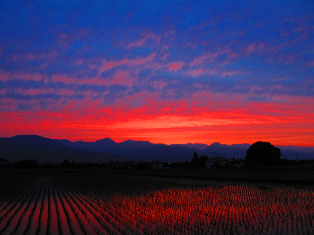 夕焼けⅢ