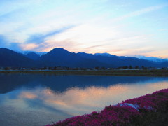 田植えの季節