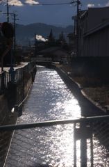 朝の輝き