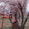 小さな神社