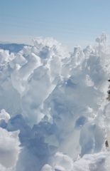 雪解け②