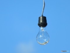 もうすぐ霜がつくね