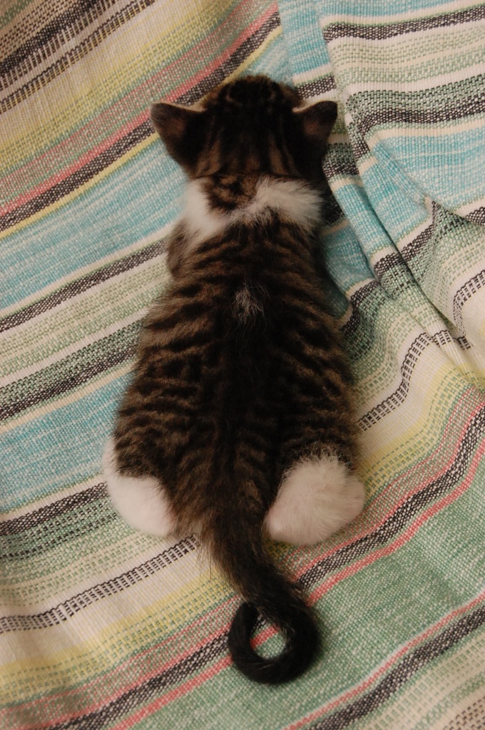 くるん