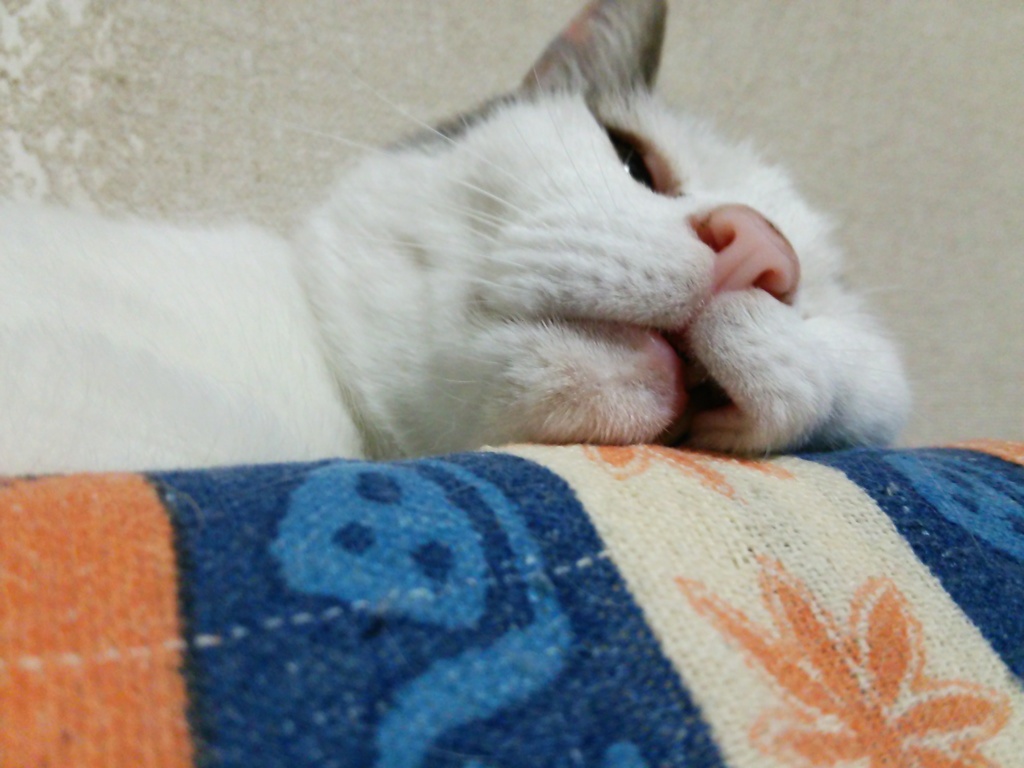癒しの神さま