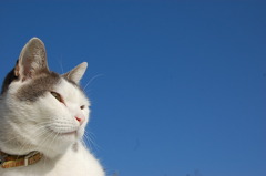 空と空