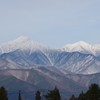 職場から