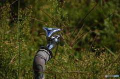 懐かしい輝き