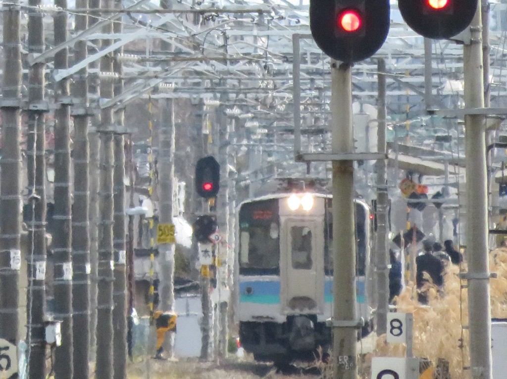 もわもわもわ
