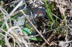 いつかのタイル