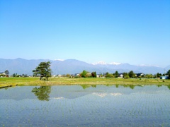 対(つい)Ⅲ