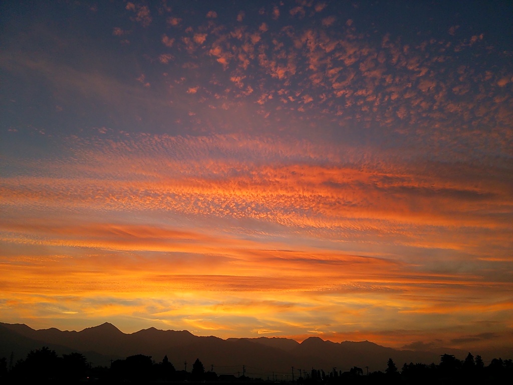 最近ずっと夕焼けがきれいです