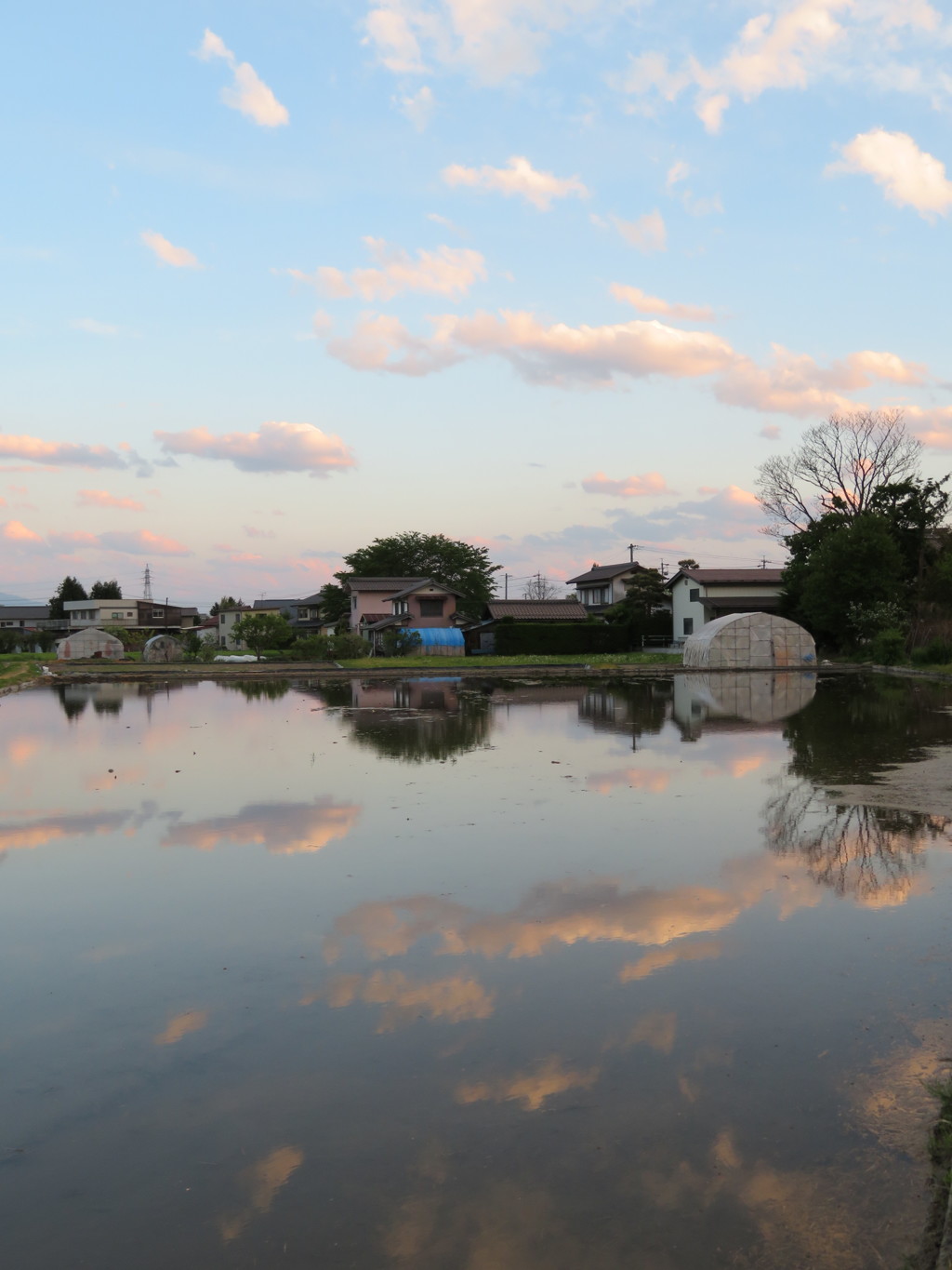 田んぼに水が入ったよⅡ