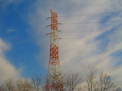 朝日に照らされて