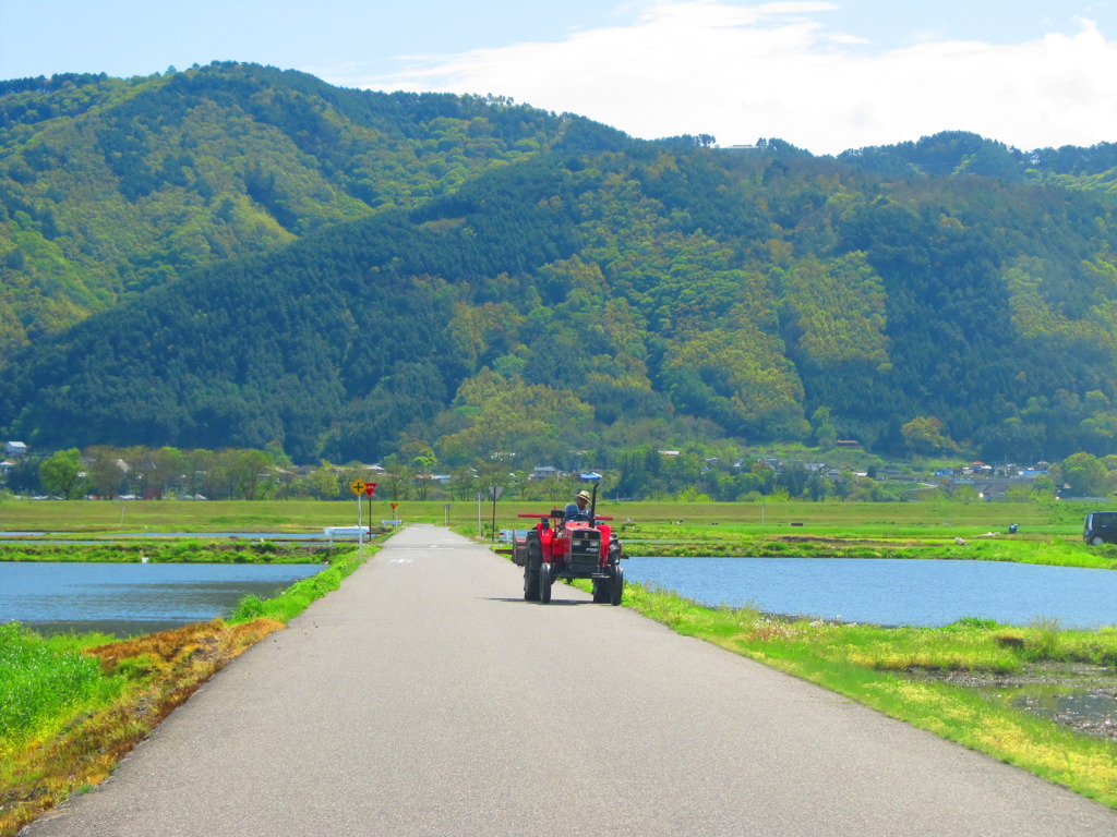 田植えのシーズン