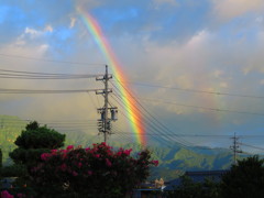 あ！！虹！！！
