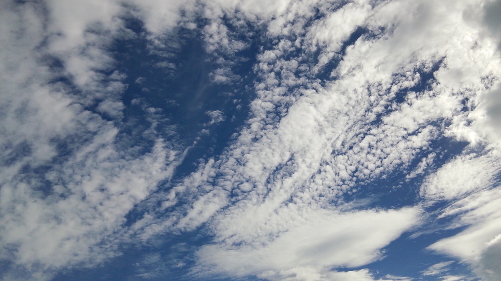 今朝の空
