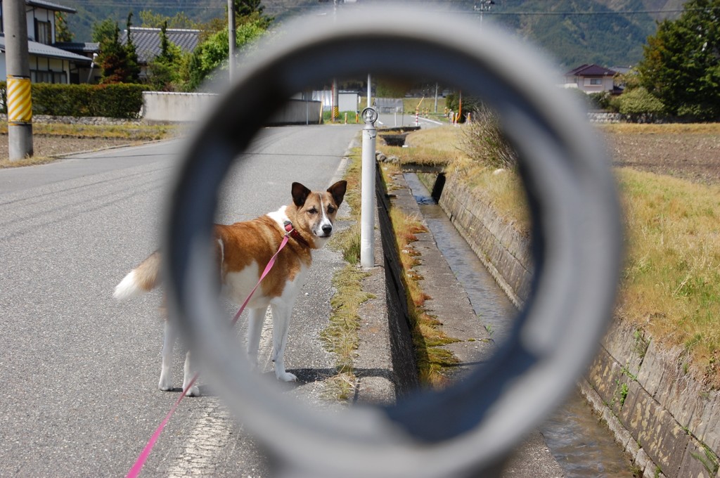 目は口ほどに